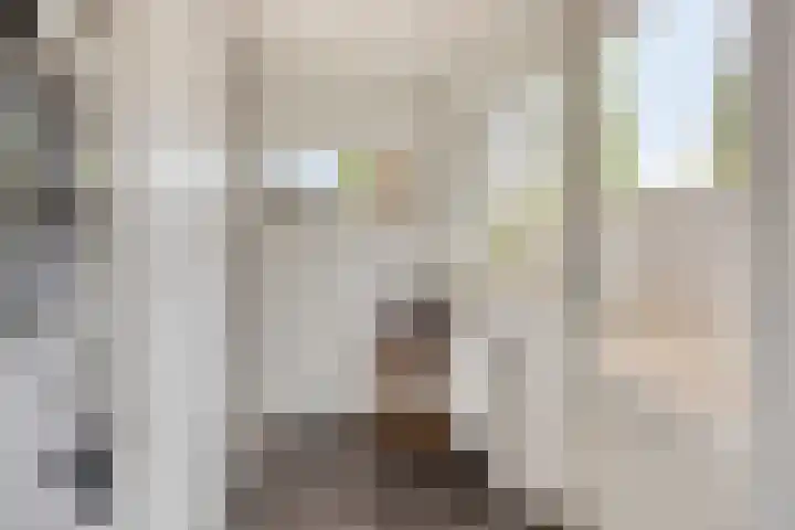 Gunterstein 15 Almelo thumbnail 18