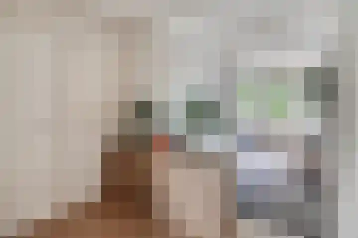 Gunterstein 15 Almelo thumbnail 19