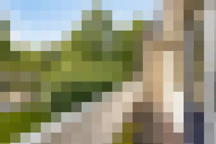 Gunterstein 15 Almelo thumbnail 23