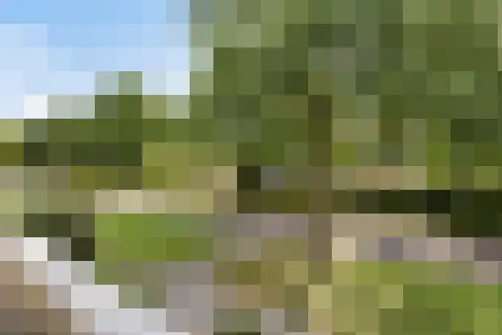 Gunterstein 15 Almelo thumbnail 24
