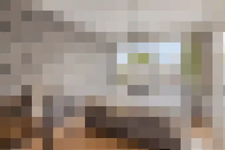 Gunterstein 15 Almelo thumbnail 27