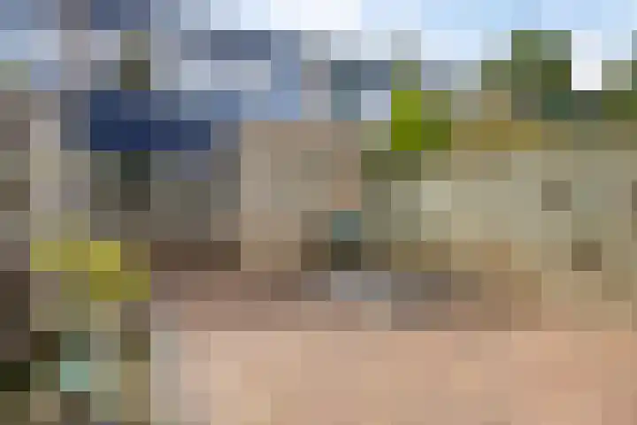 Gunterstein 15 Almelo thumbnail 31