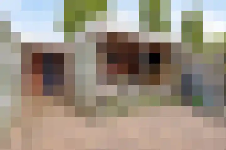 Gunterstein 15 Almelo thumbnail 33