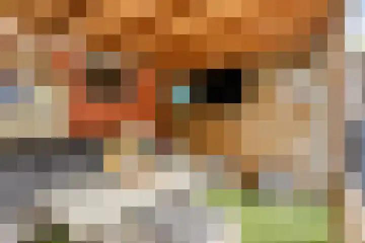 Gunterstein 15 Almelo thumbnail 35