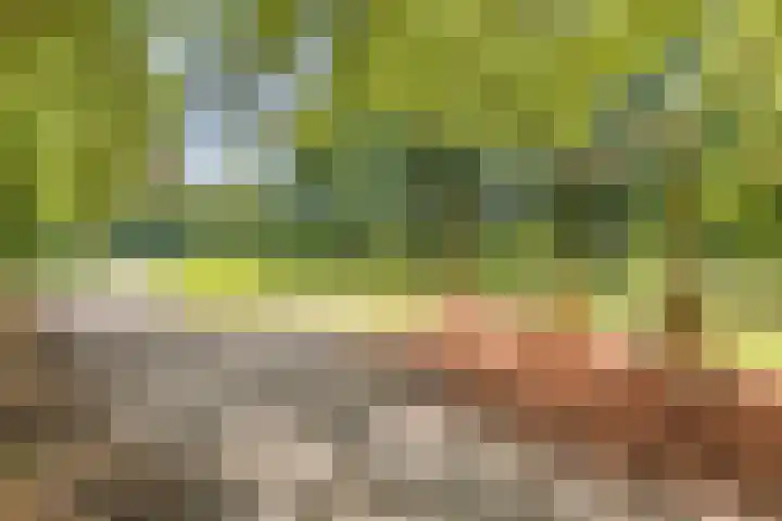 Gunterstein 15 Almelo thumbnail 38