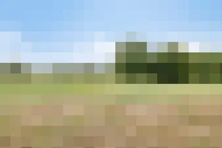 Gunterstein 15 Almelo thumbnail 39