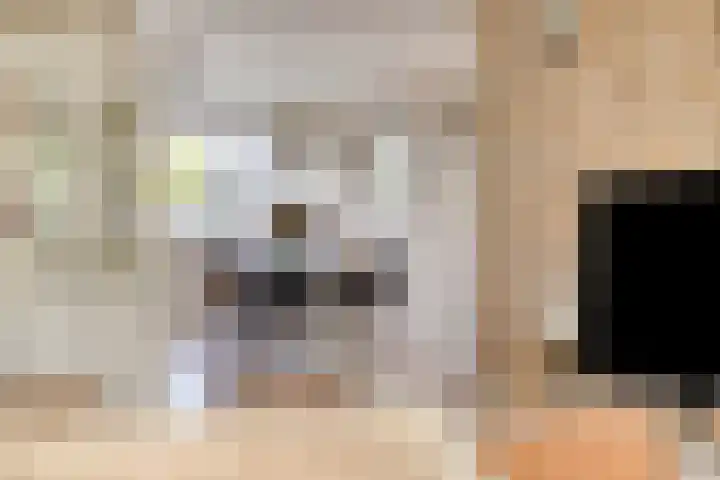 Gunterstein 15 Almelo thumbnail 8