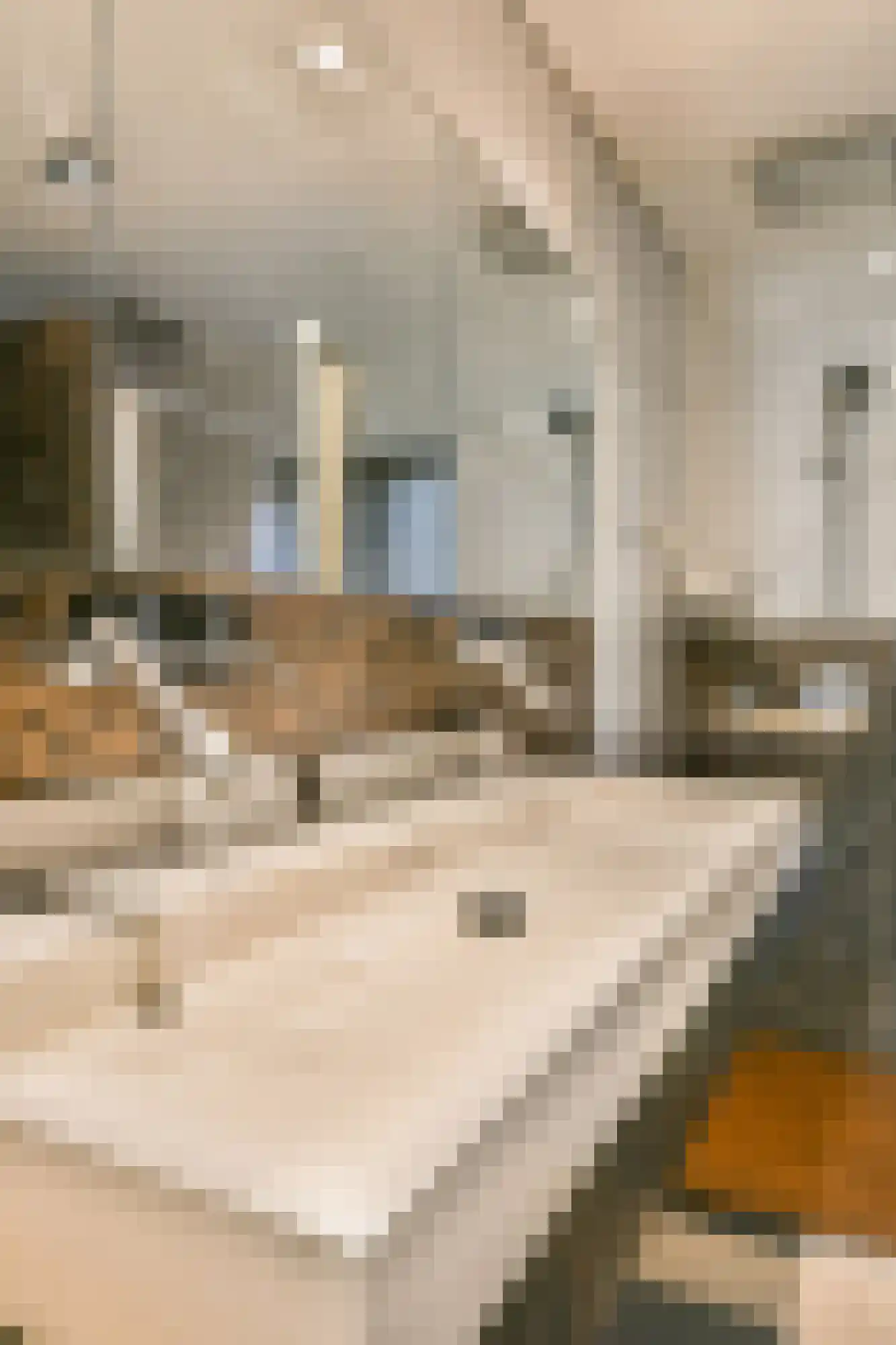 Gunterstein 15 Amstelveen thumbnail 20