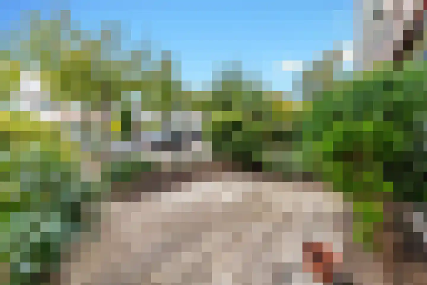 Gunterstein 57 Amsterdam thumbnail 4