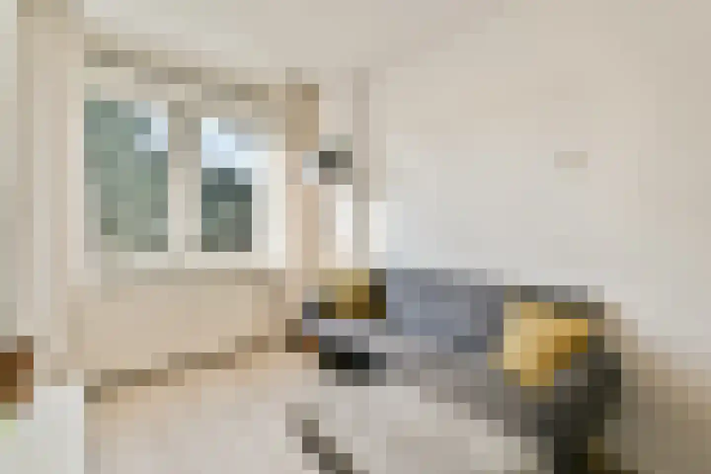 Gunterstein 60 Amsterdam thumbnail 21