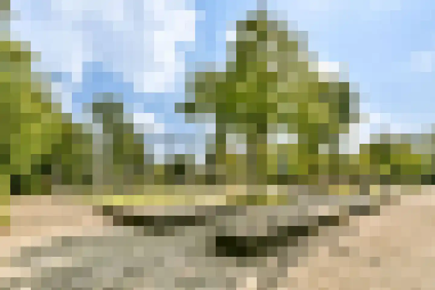 Gunterstein 60 Amsterdam thumbnail 35