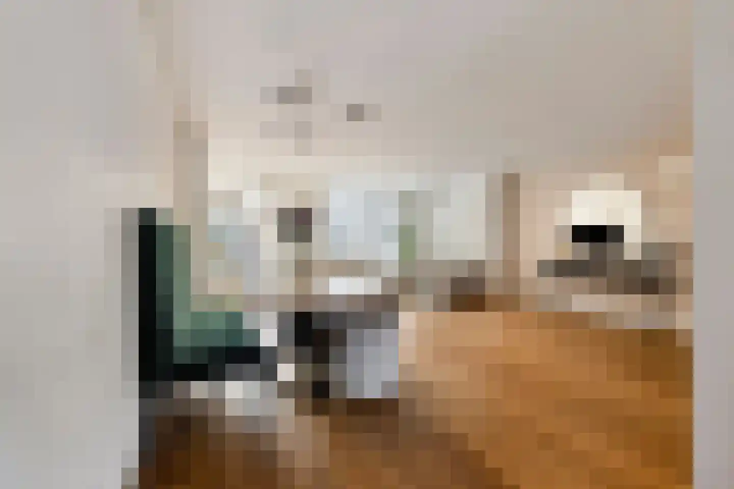 Gustaaf de Smetstraat 20 Eindhoven thumbnail 15