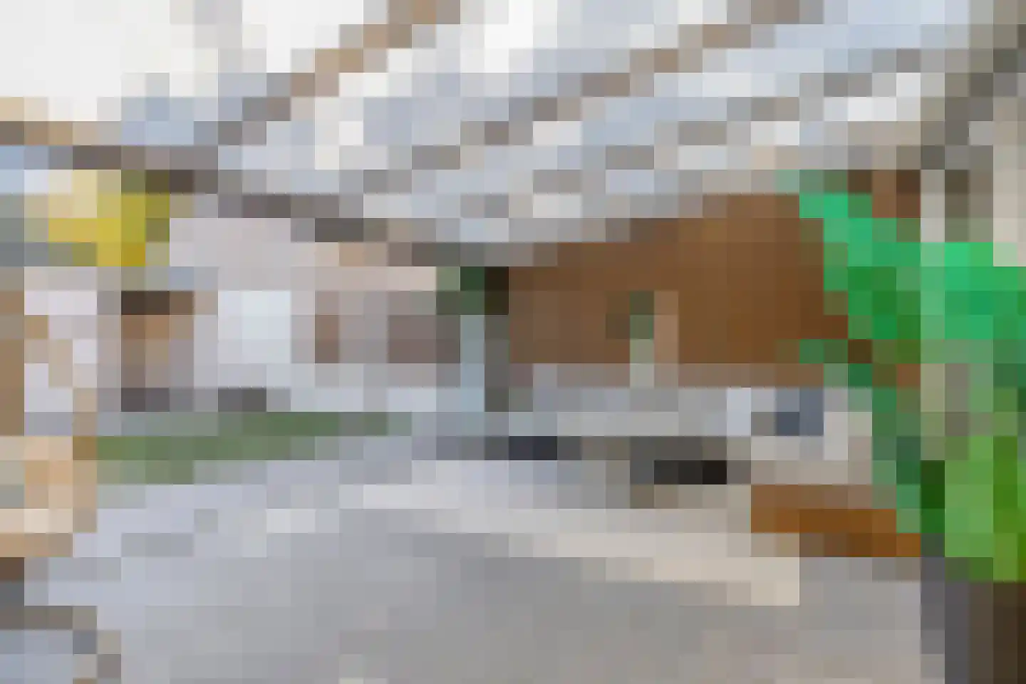 Gustaaf de Smetstraat 20 Eindhoven thumbnail 25