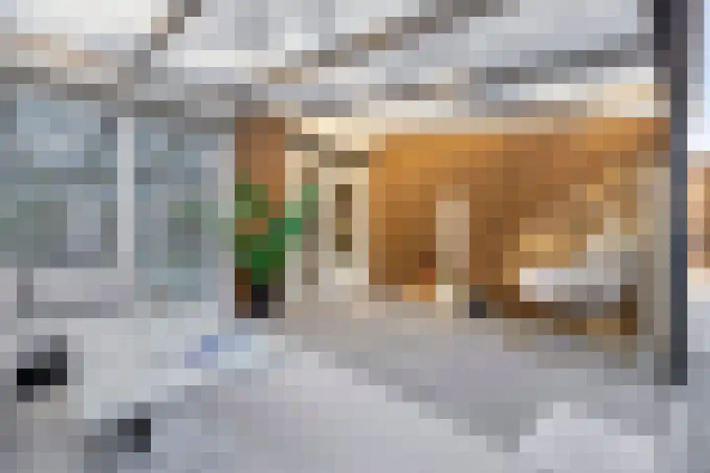 Gustaaf de Smetstraat 20 Eindhoven thumbnail 26