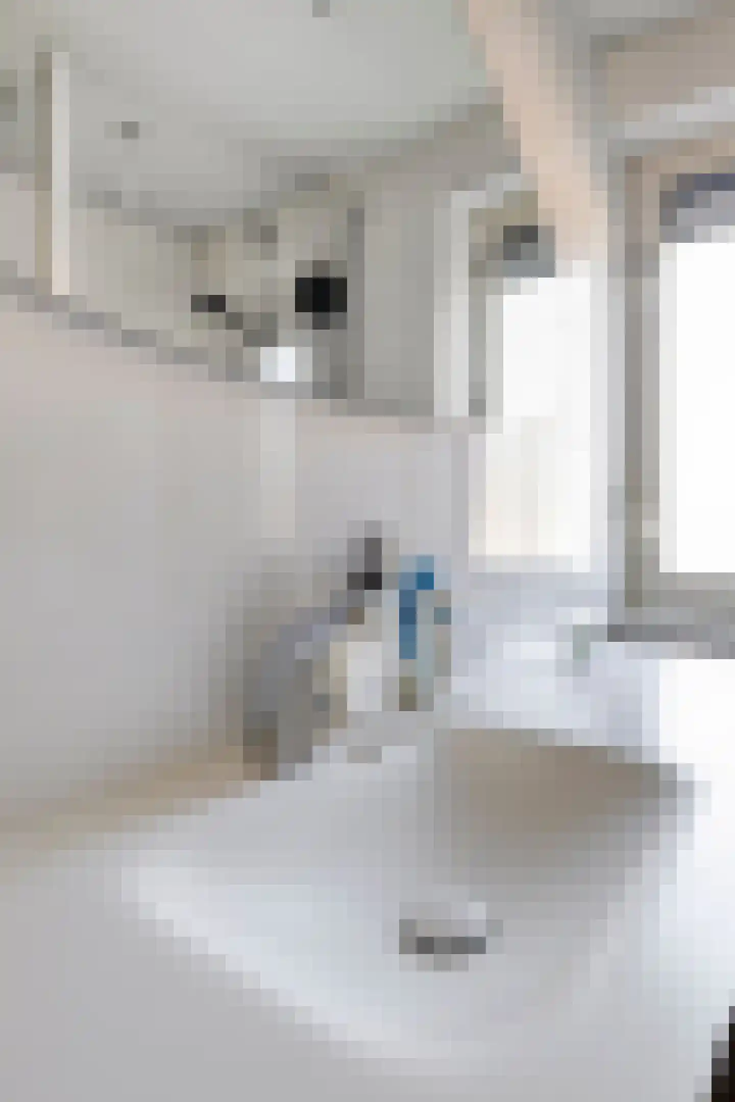 Gustaaf de Smetstraat 20 Eindhoven thumbnail 38
