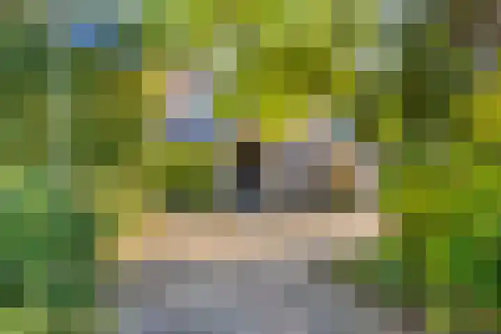 Gustaaf Gelderhof 14 Soest thumbnail 29