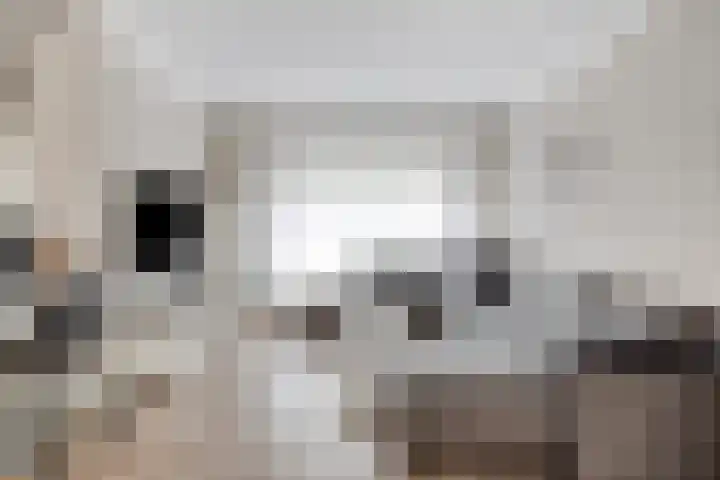Gustaaf Gelderstraat 18 Oss thumbnail 4