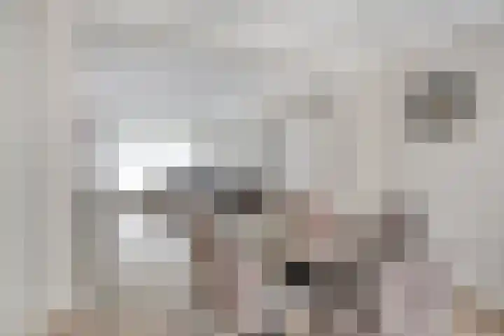 Gustaaf Gelderstraat 18 Oss thumbnail 6