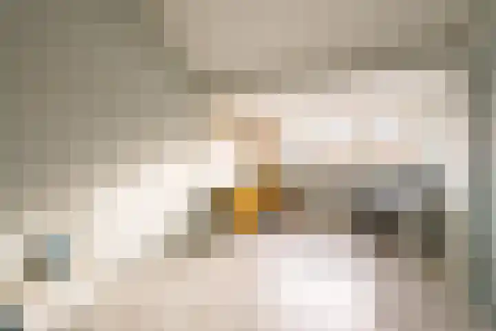Gustaaf Gelderstraat 50 Almere thumbnail 33