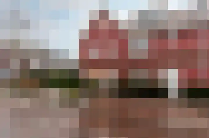 Gustav Hertzstraat 36 Almere thumbnail 31