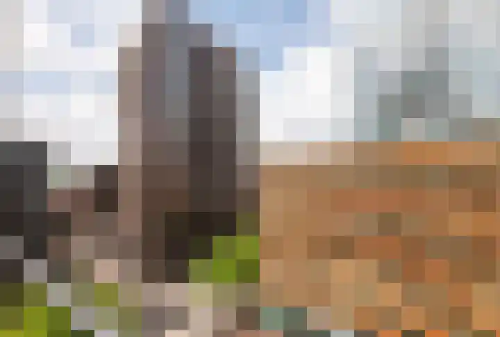 Gustav Mahlerlaan 108 Amsterdam thumbnail 21