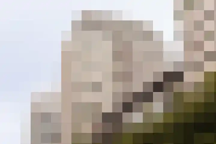 Gustav Mahlerlaan 108 Amsterdam thumbnail 33