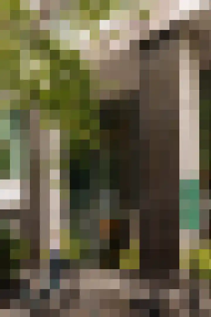 Gustav Mahlerlaan 108 Amsterdam thumbnail 8