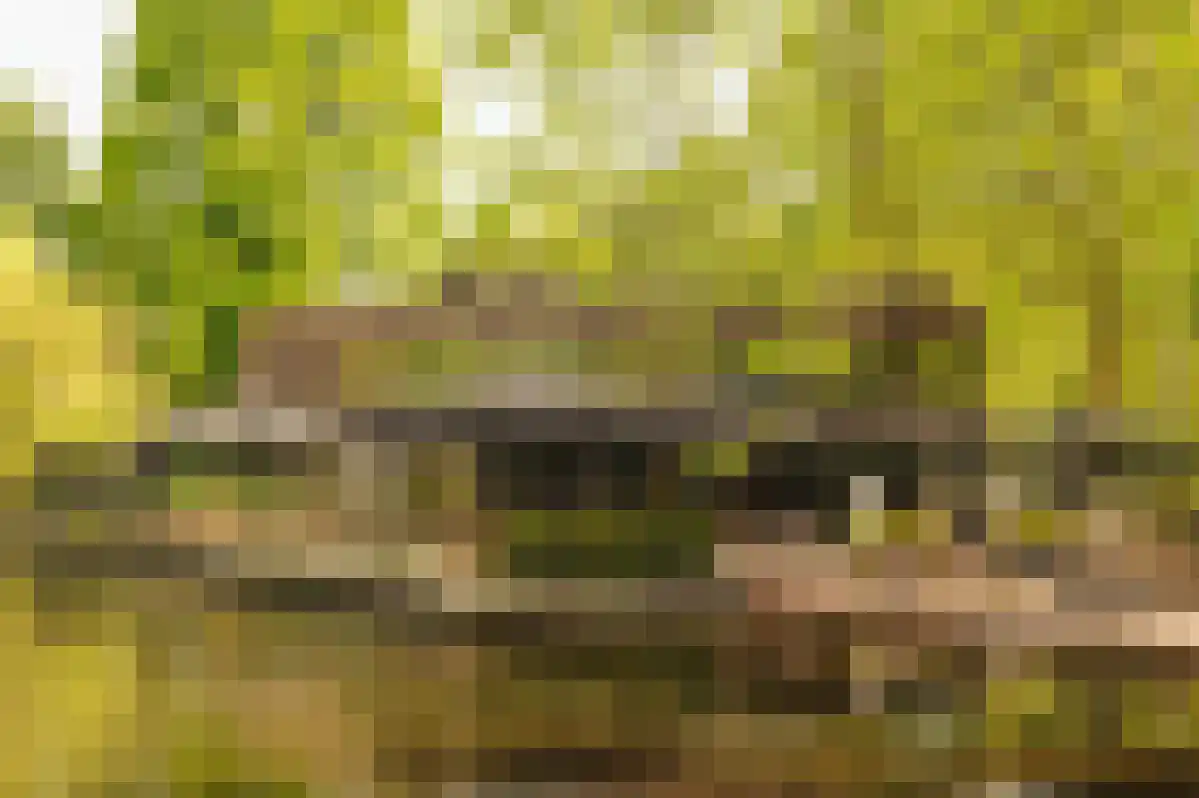 Gustav Mahlerlaan 11 K Amsterdam thumbnail 20