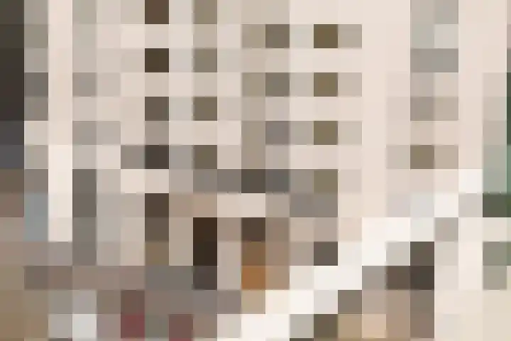 Gustav Mahlerlaan 122 Amsterdam thumbnail 13