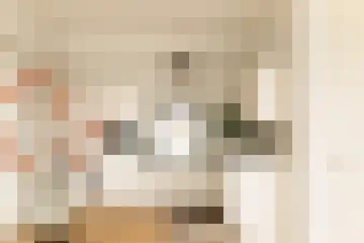 Gustav Mahlerlaan 122 Amsterdam thumbnail 14