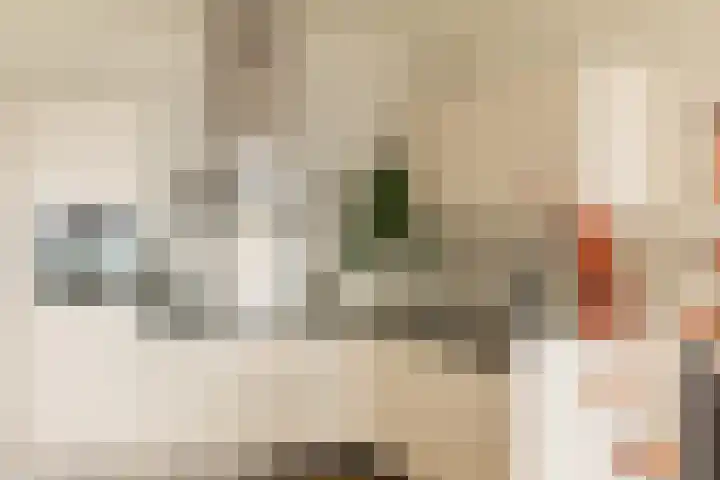 Gustav Mahlerlaan 122 Amsterdam thumbnail 15