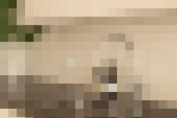 Gustav Mahlerlaan 122 Amsterdam thumbnail 16