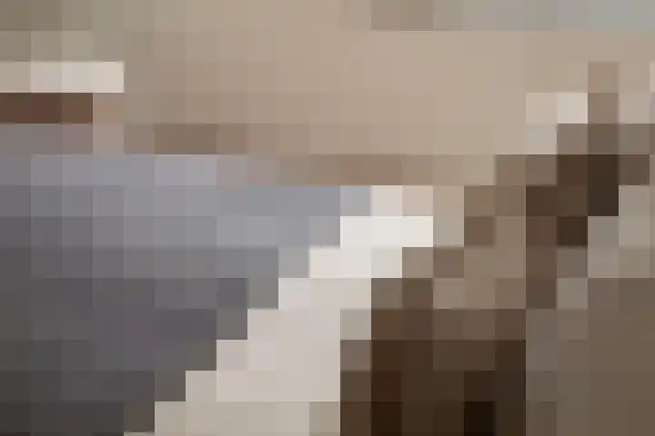 Gustav Mahlerlaan 122 Amsterdam thumbnail 21