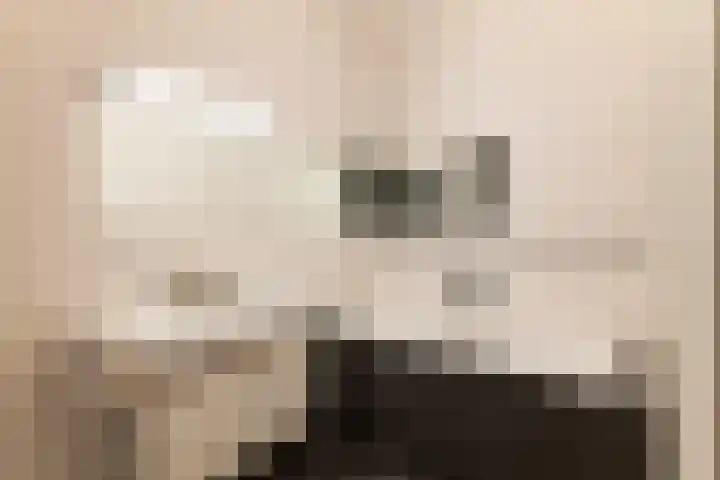 Gustav Mahlerlaan 122 Amsterdam thumbnail 22