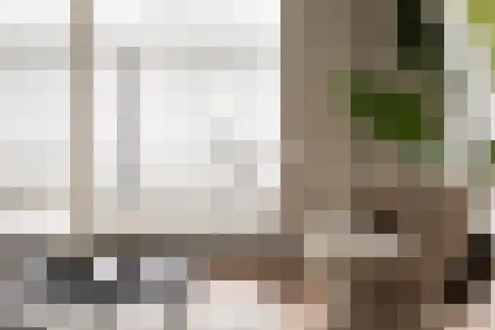 Gustav Mahlerlaan 122 Amsterdam thumbnail 6