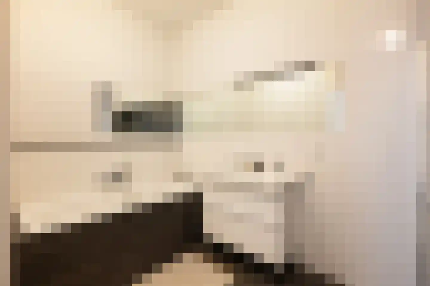 Gustav Mahlerlaan 128 Amsterdam thumbnail 16