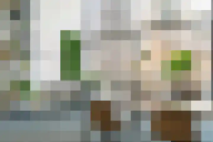 Gustav Mahlerlaan 13 D Amsterdam thumbnail 21