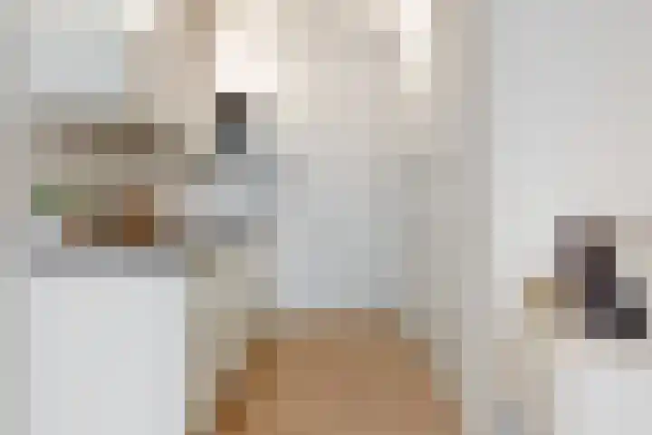 Gustav Mahlerlaan 13 D Amsterdam thumbnail 7