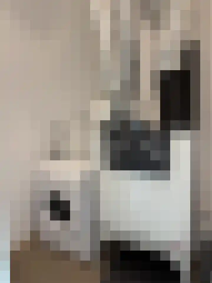 Gustav Mahlerlaan 13 E Amsterdam thumbnail 12