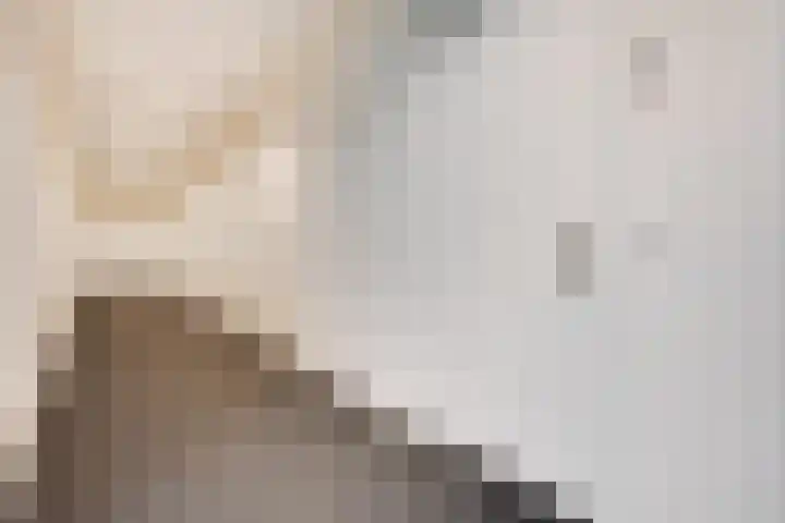 Gustav Mahlerlaan 13 E Amsterdam thumbnail 17