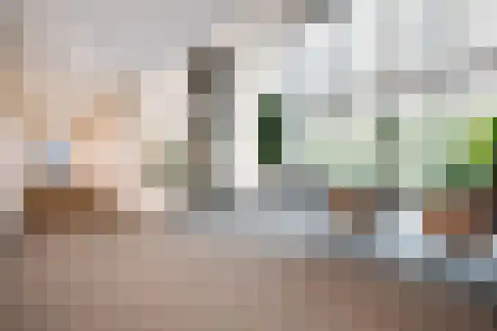 Gustav Mahlerlaan 13 E Amsterdam thumbnail 19