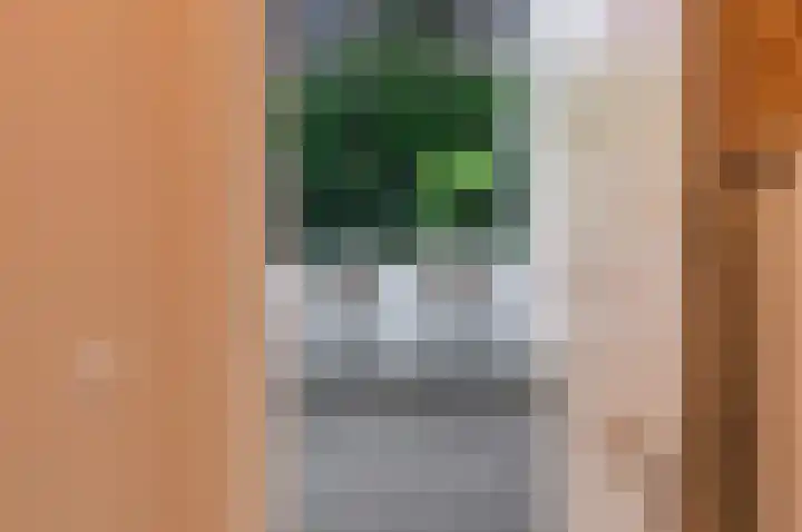 Gustav Mahlerlaan 13 E Amsterdam thumbnail 20