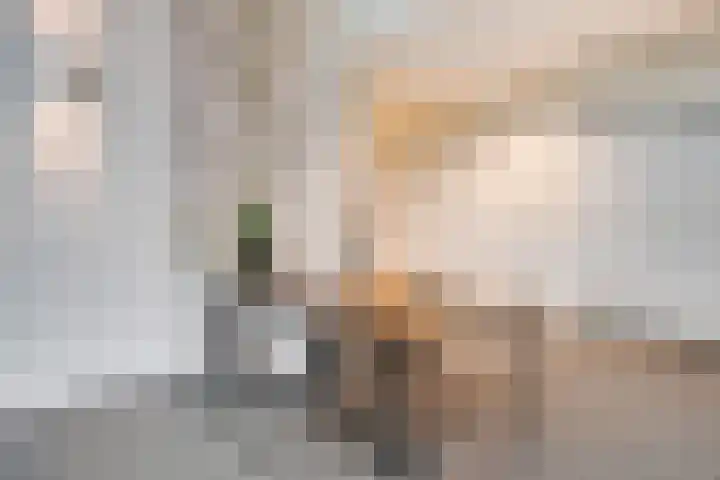 Gustav Mahlerlaan 13 E Amsterdam thumbnail 21