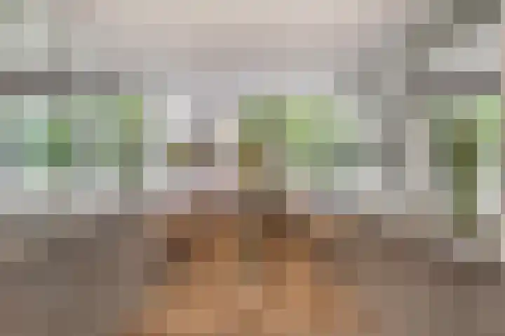 Gustav Mahlerlaan 13 N Amsterdam thumbnail 20