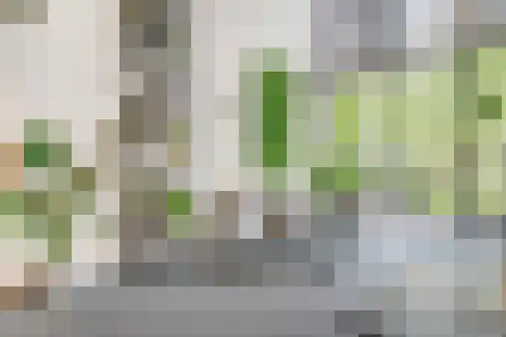 Gustav Mahlerlaan 13 N Amsterdam thumbnail 21