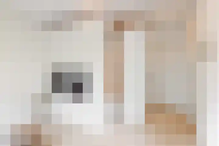 Gustav Mahlerlaan 13 N Amsterdam thumbnail 6