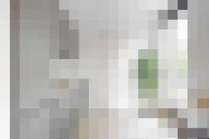 Gustav Mahlerlaan 13 N Amsterdam thumbnail 8