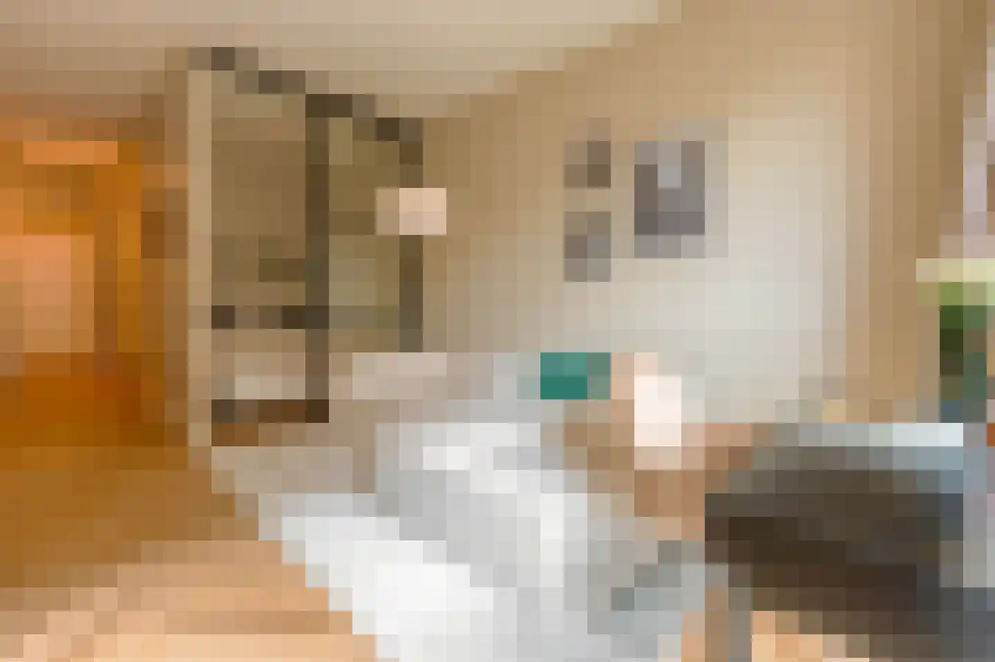 Gustav Mahlerlaan 15 D Amsterdam thumbnail 4