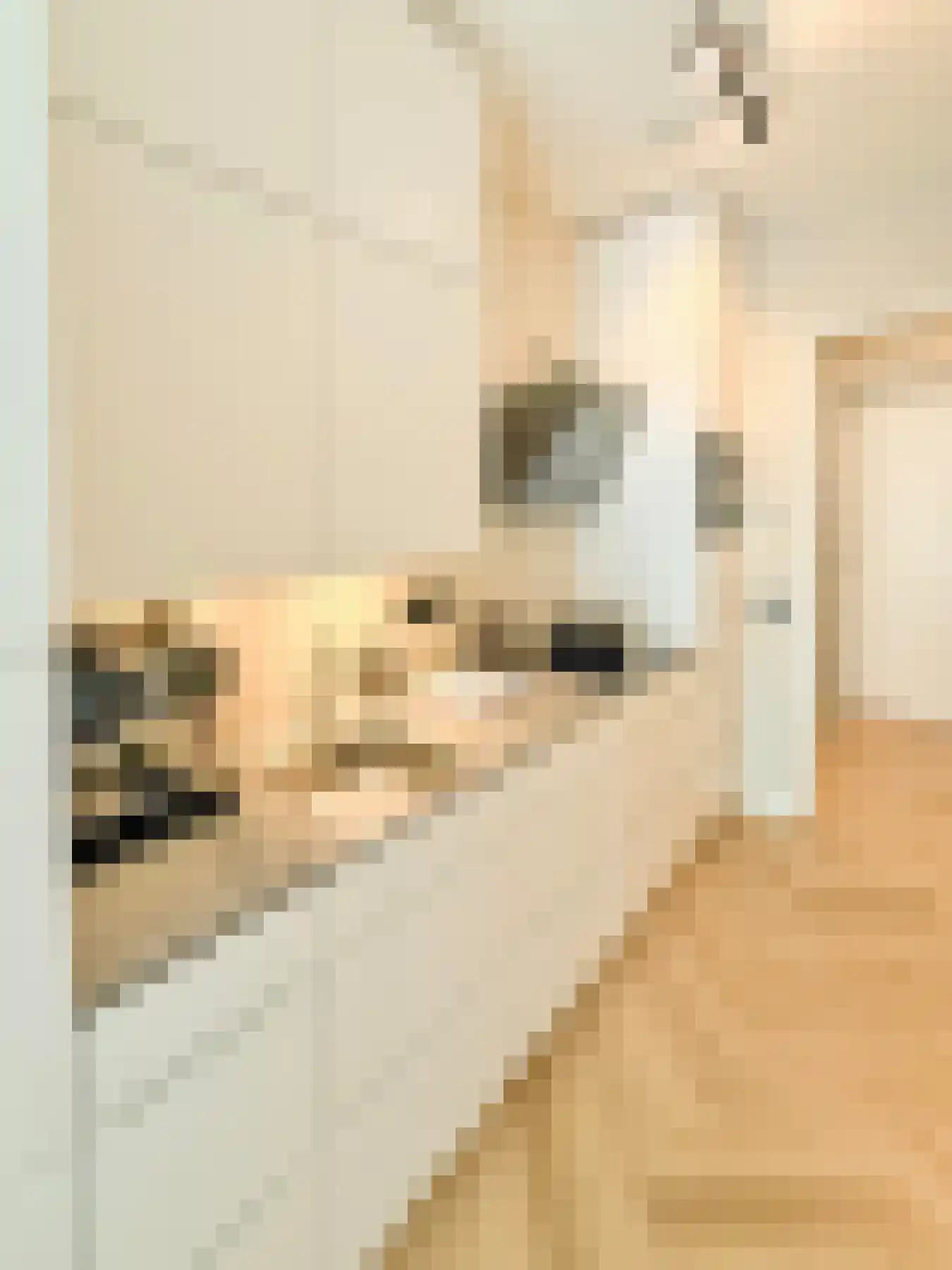 Gustav Mahlerlaan 15 D Amsterdam thumbnail 7
