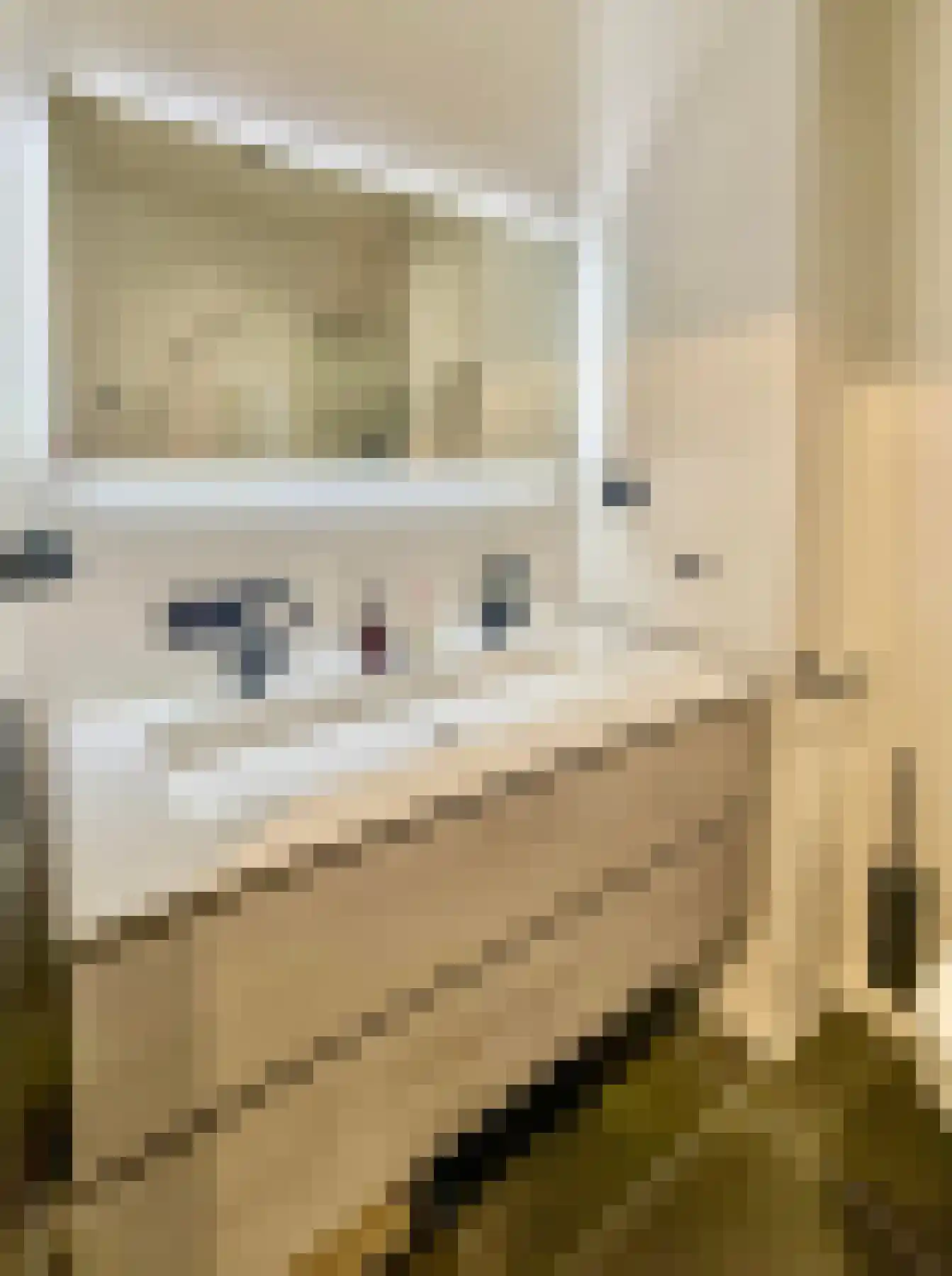 Gustav Mahlerlaan 15 D Amsterdam thumbnail 8